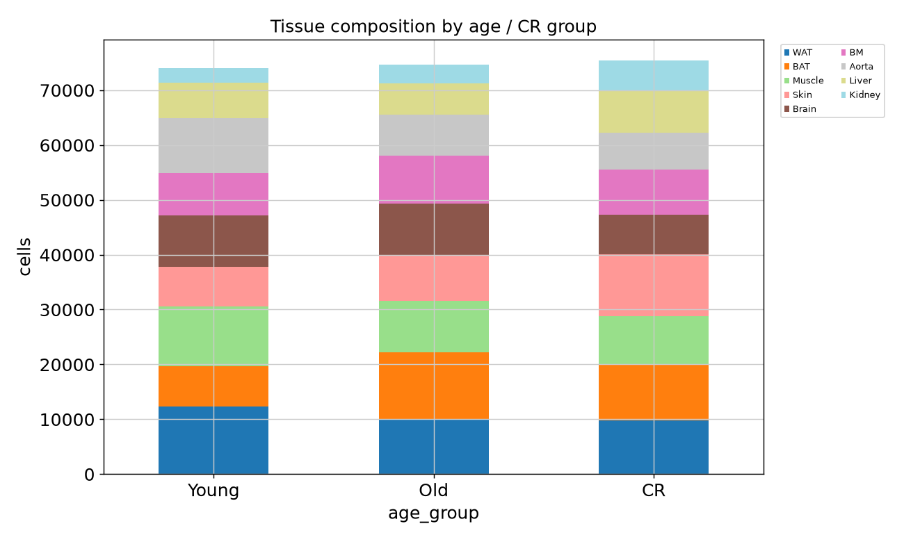 Tissue composition by age and CR