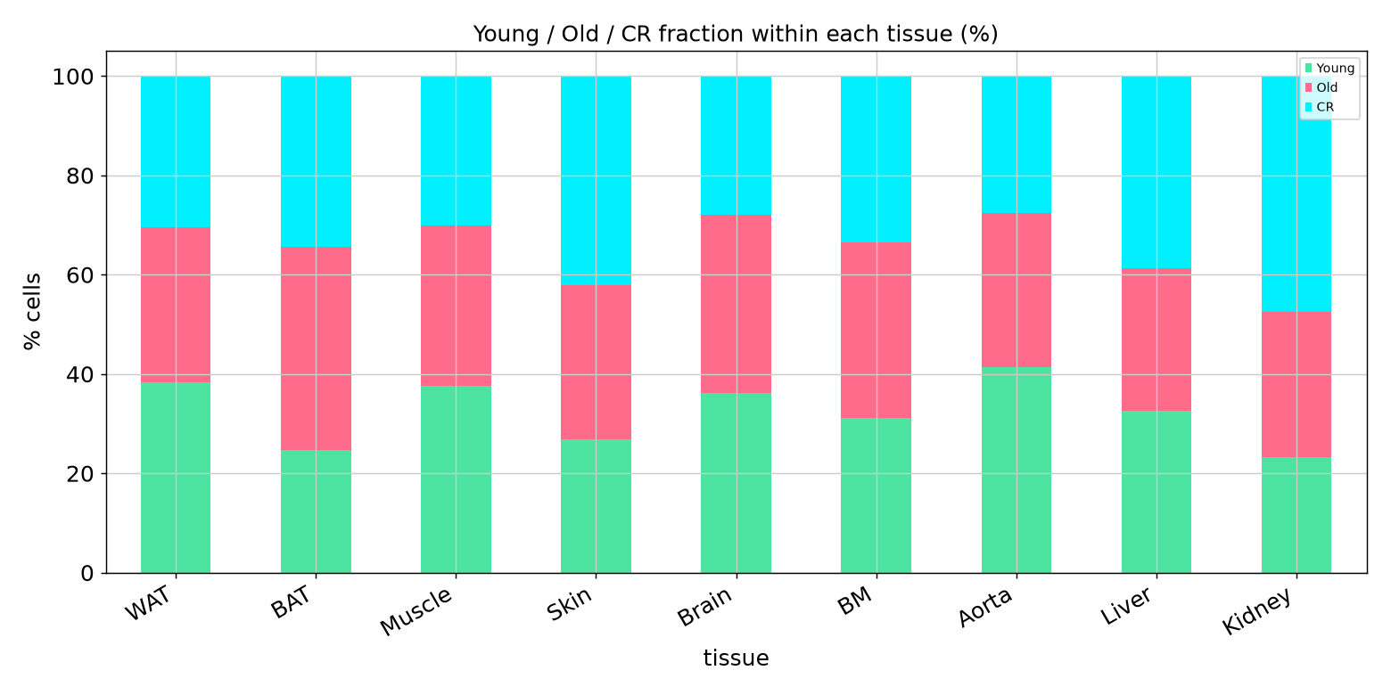 Young Old CR fraction by tissue