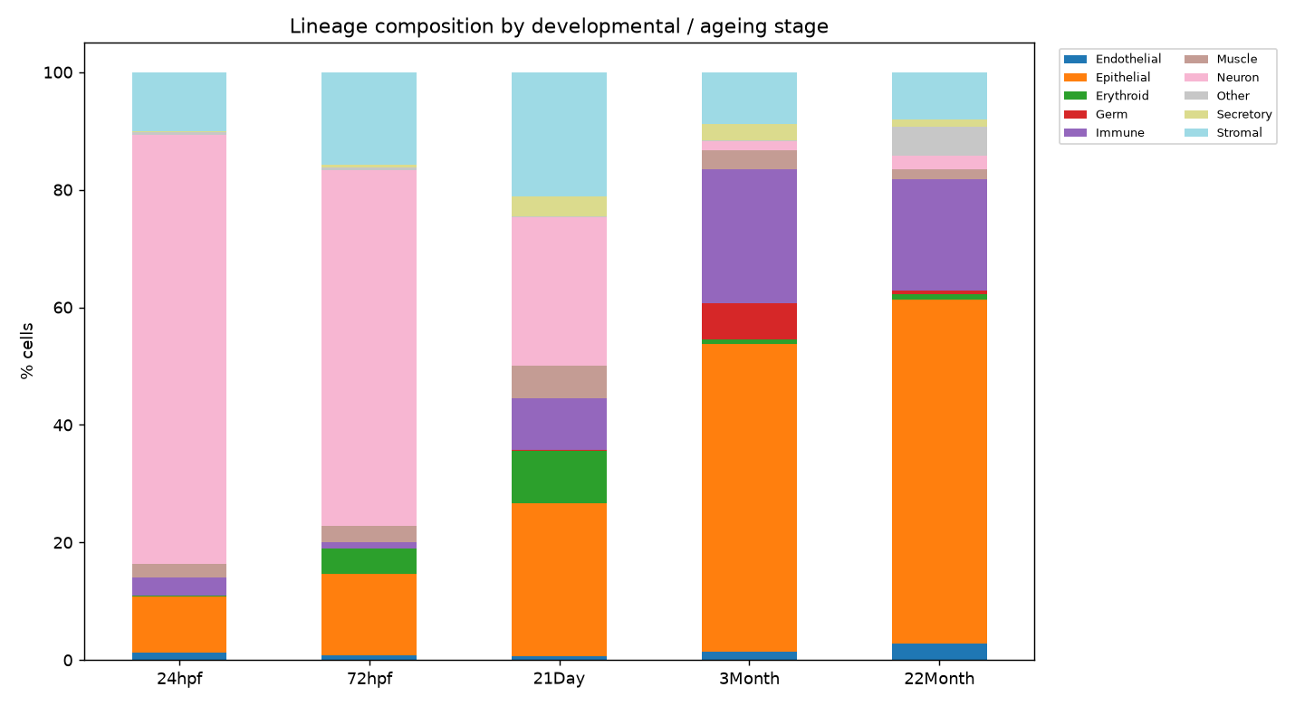 Lineage composition by stage