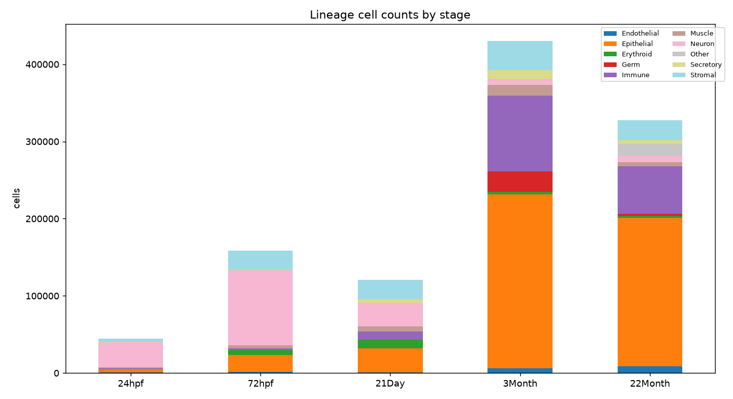 Lineage counts by stage