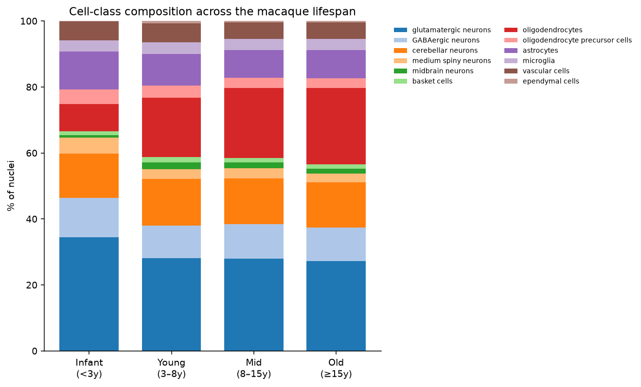 Cell-class composition by age group