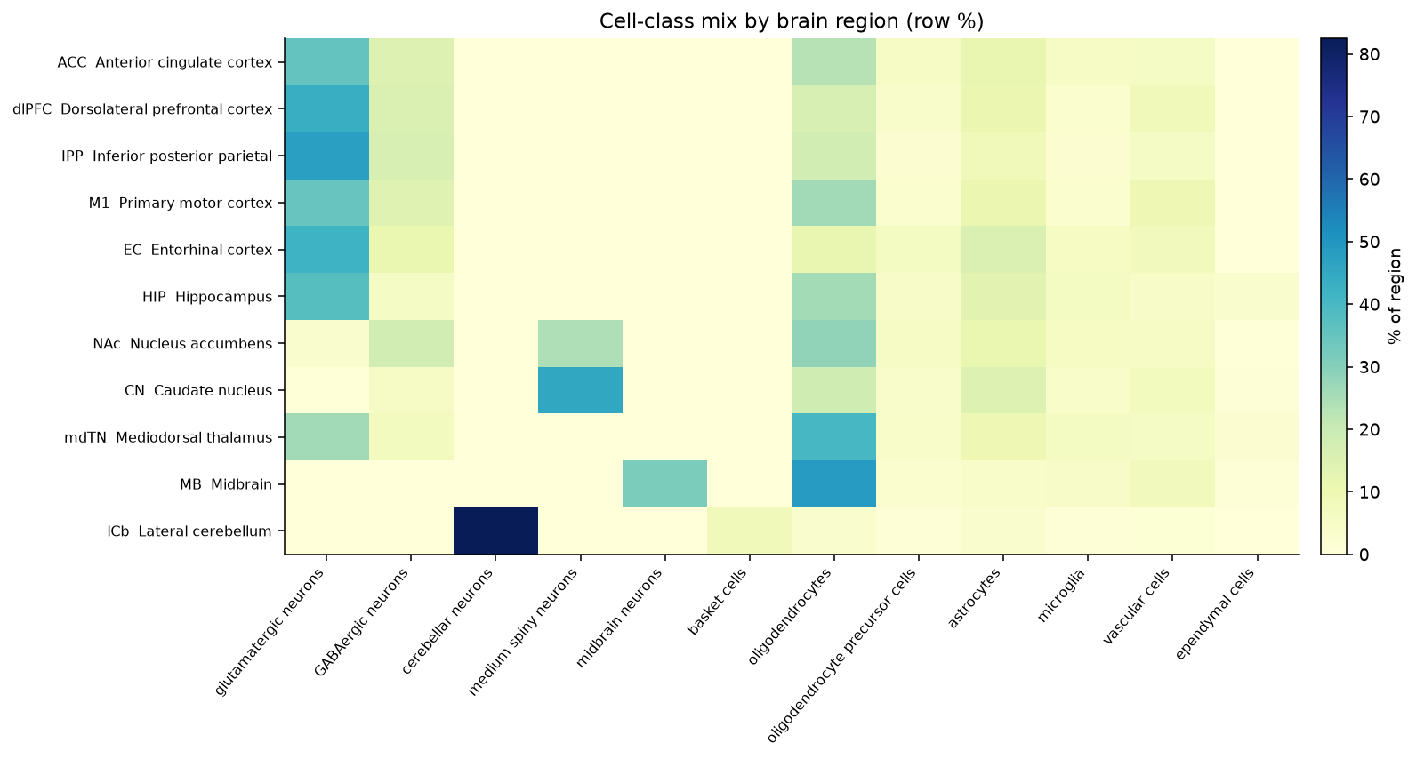 Region by cell-class heatmap