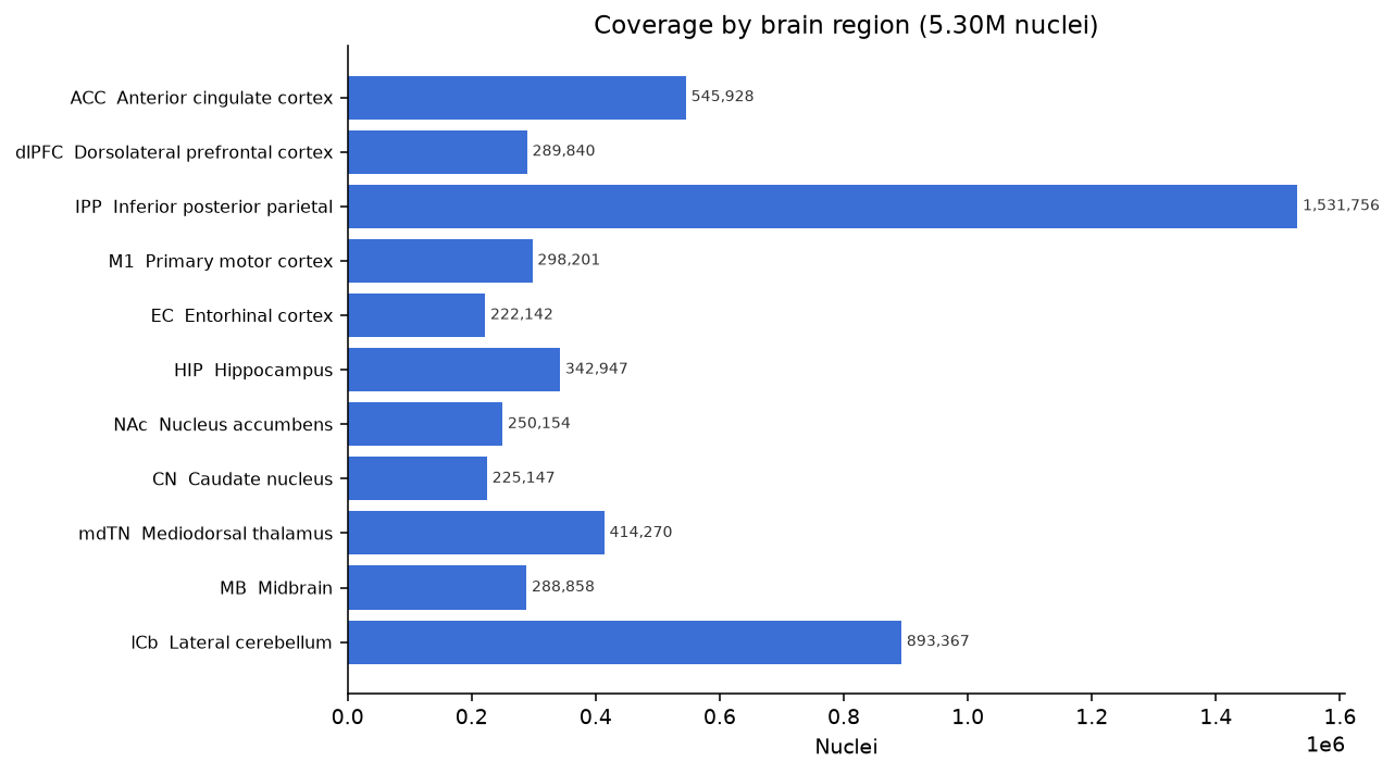 Nuclei per brain region