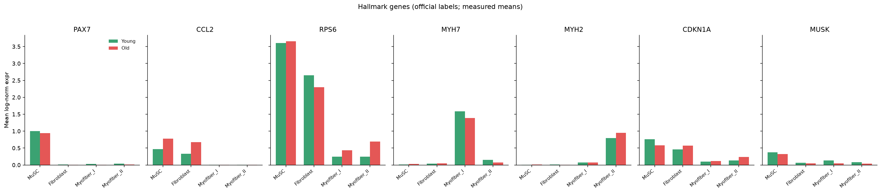 Hallmark genes by age and cell type