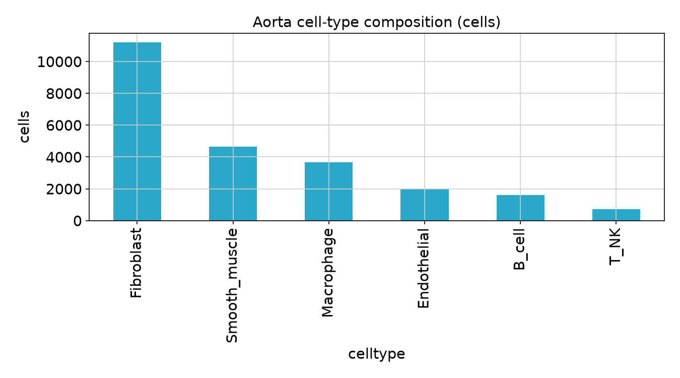 Aorta cell-type counts