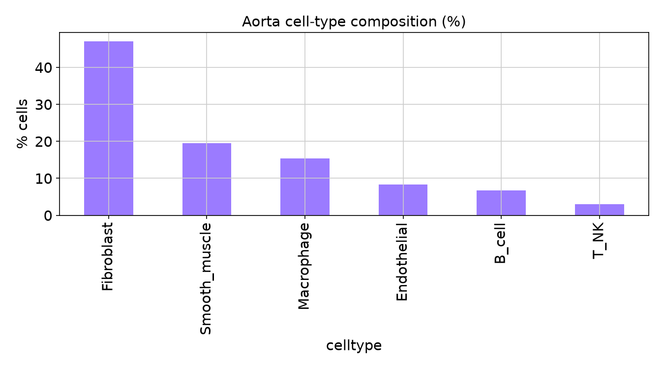 Aorta cell-type percentages