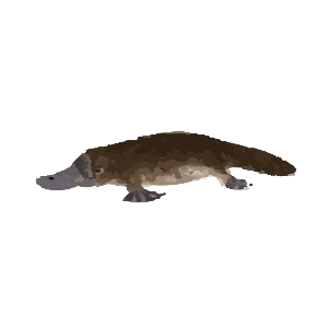 Duck-billed platypus